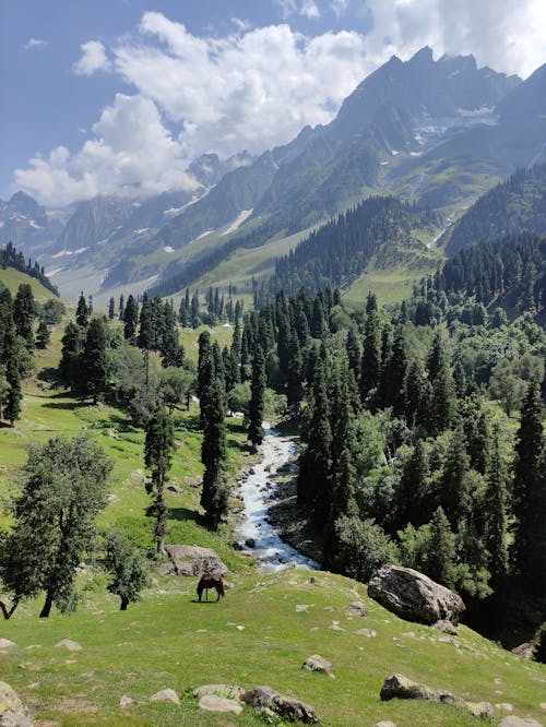 Valley and Mountains