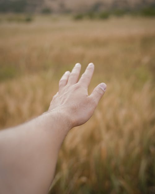 Close-up of a Stretched Out Arm and Hand of a Man on a Field 
