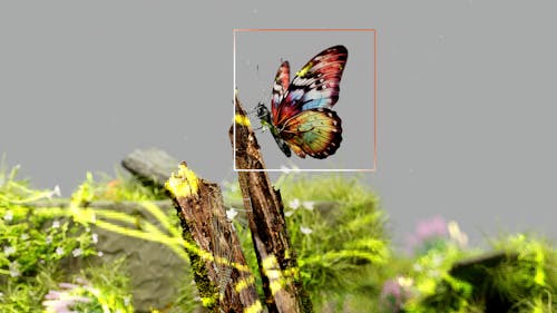Gratuit Imagine de stoc gratuită din 3d, 3d rendere, abstract Fotografie de stoc