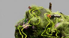 An artist’s illustration of artificial intelligence (AI). This image depicts how AI could help understand ecosystems and identify species. It was created by Nidia Dias as part of the Visua...