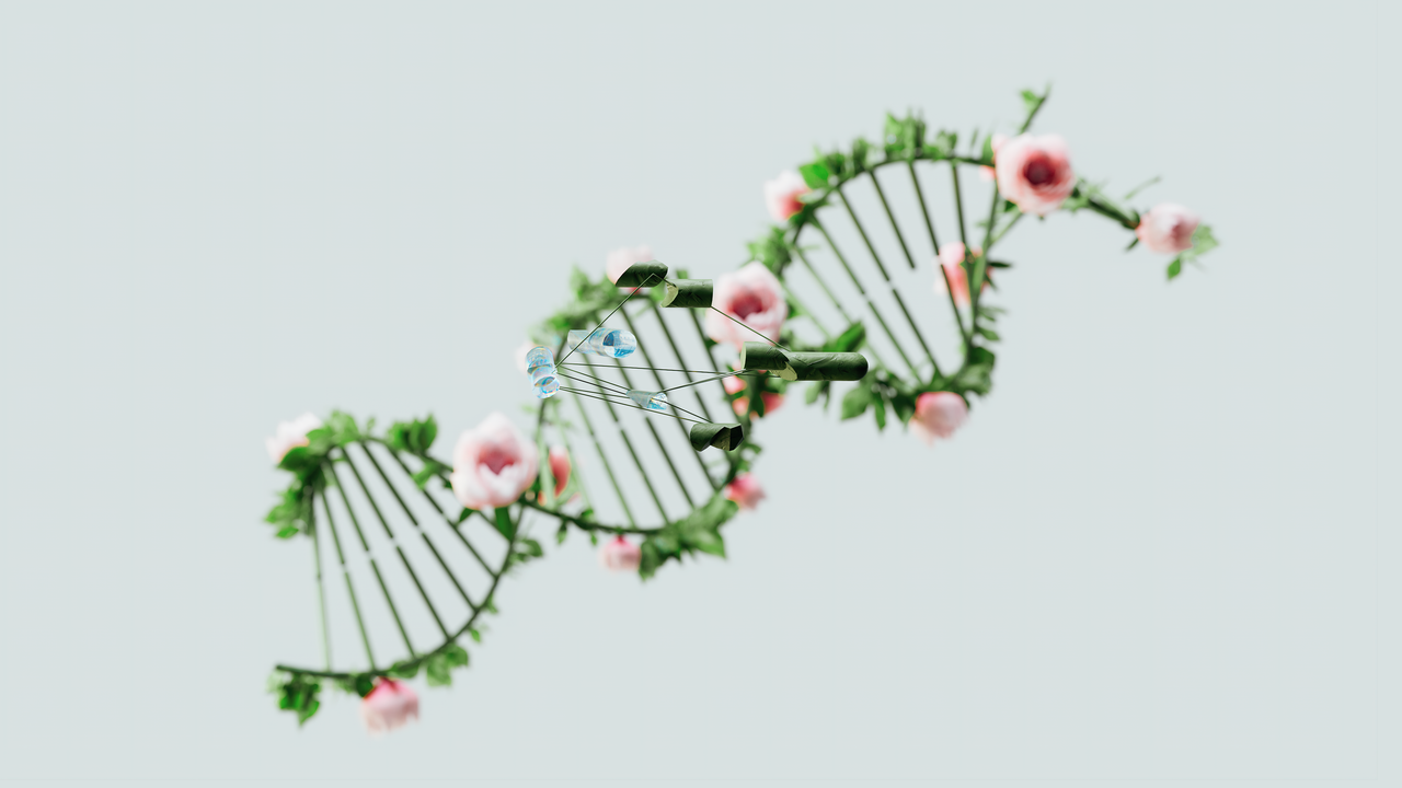 Researchers identify 'ghost lineage' DNA in modern human genomes