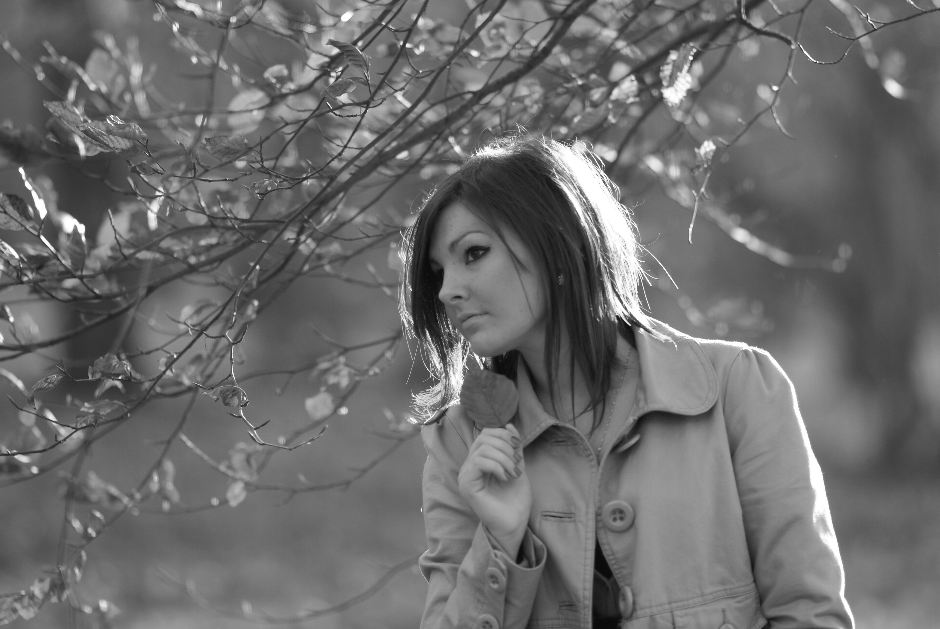 Botan Photos, Download The BEST Free Botan Stock Photos & HD Images