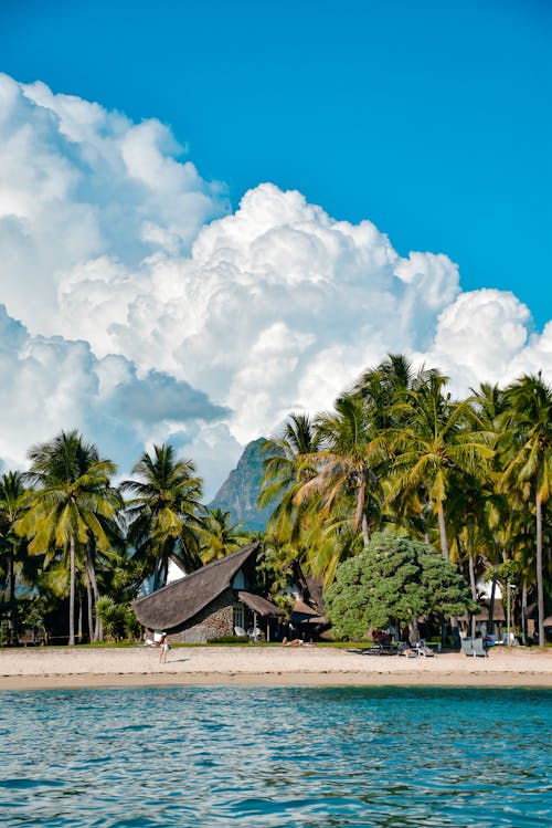 View of a Building on a Beach between Palm Trees and Mountains in the Background 