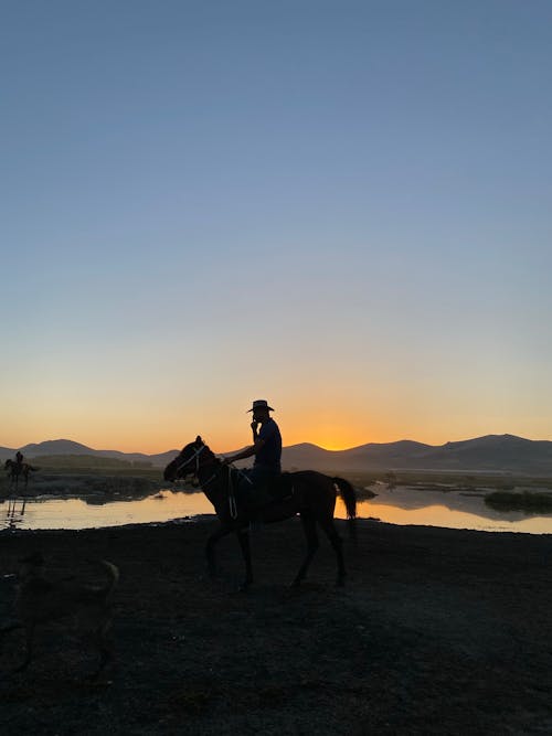 Silhouette of Man Riding Horse on Seashore