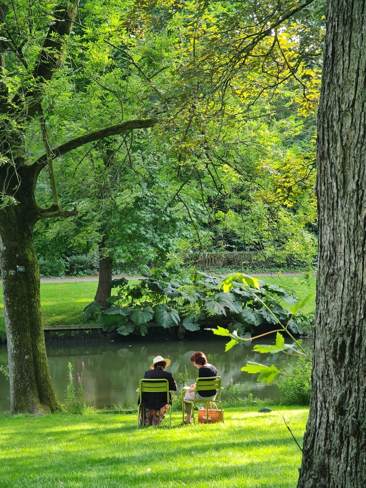 People In Park By Pond