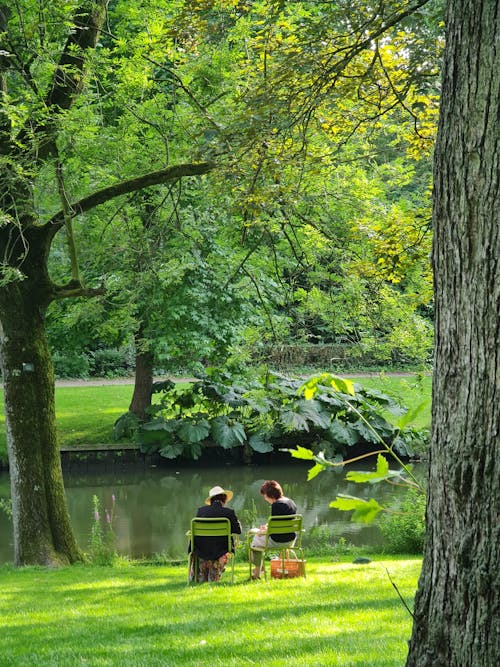 Free People in park by Pond Stock Photo