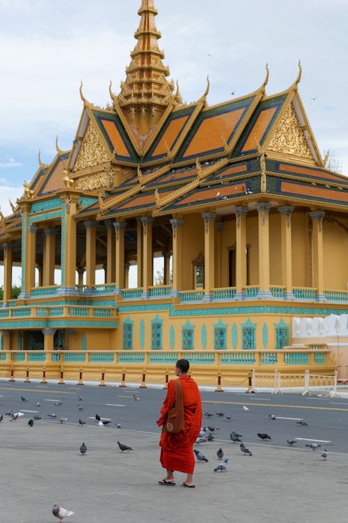 Kostnadsfri bild av buddhist, duvor, kambodja