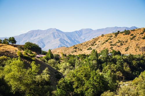 Free A breathtaking view of rolling hills and vibrant forest under a clear blue sky, perfect for nature lovers. Stock Photo