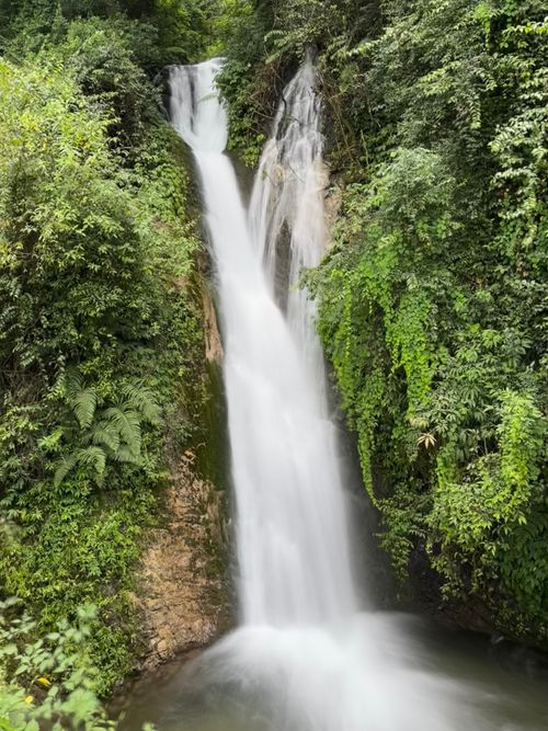 Free Tall cascading waterfall flowing through a lush green forest with long exposure effect. Stock Photo