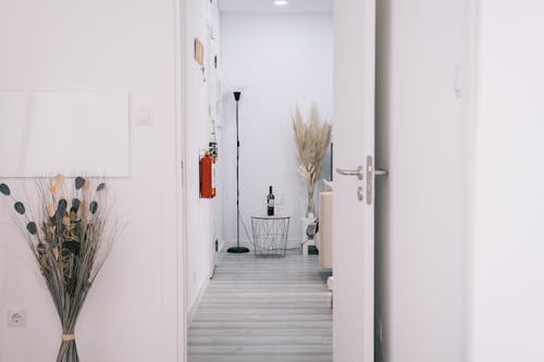 Foto profissional grátis de abrir, branco, casa