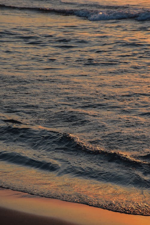 Gratis Foto stok gratis Fajar, gelombang, laut Foto Stok