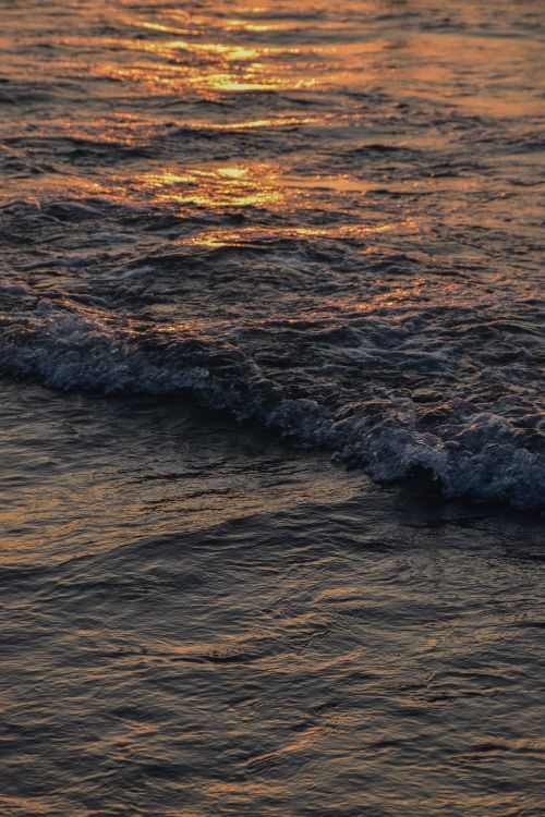 Free Captivating sunset reflection on ocean waves at twilight. Stock Photo