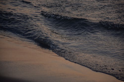 Gratis lagerfoto af bølger, hav, sand