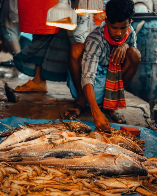 Free Man selling fresh fish at a vibrant South Asian market. Stock Photo
