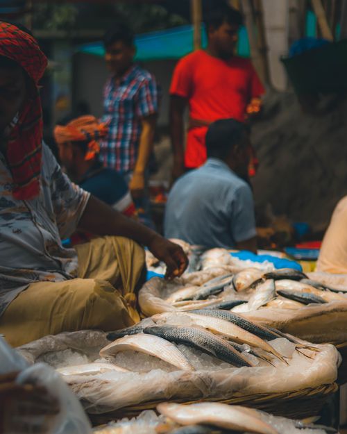 Free Fresh fish displayed at a bustling outdoor market, showcasing vibrant local commerce. Stock Photo