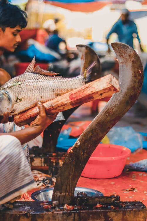 A man cutting fish Bangladeshi local fish marketing 