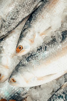 Close-up of fresh fish on ice in Gazipur market, showcasing shiny scales and vibrant eyes.