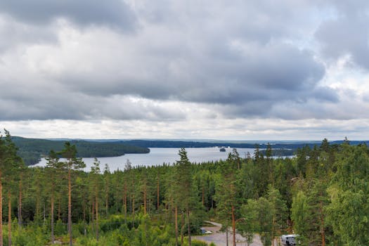 Aerial view of a peaceful forest and lake with overcast skies, offering a tranquil landscape.