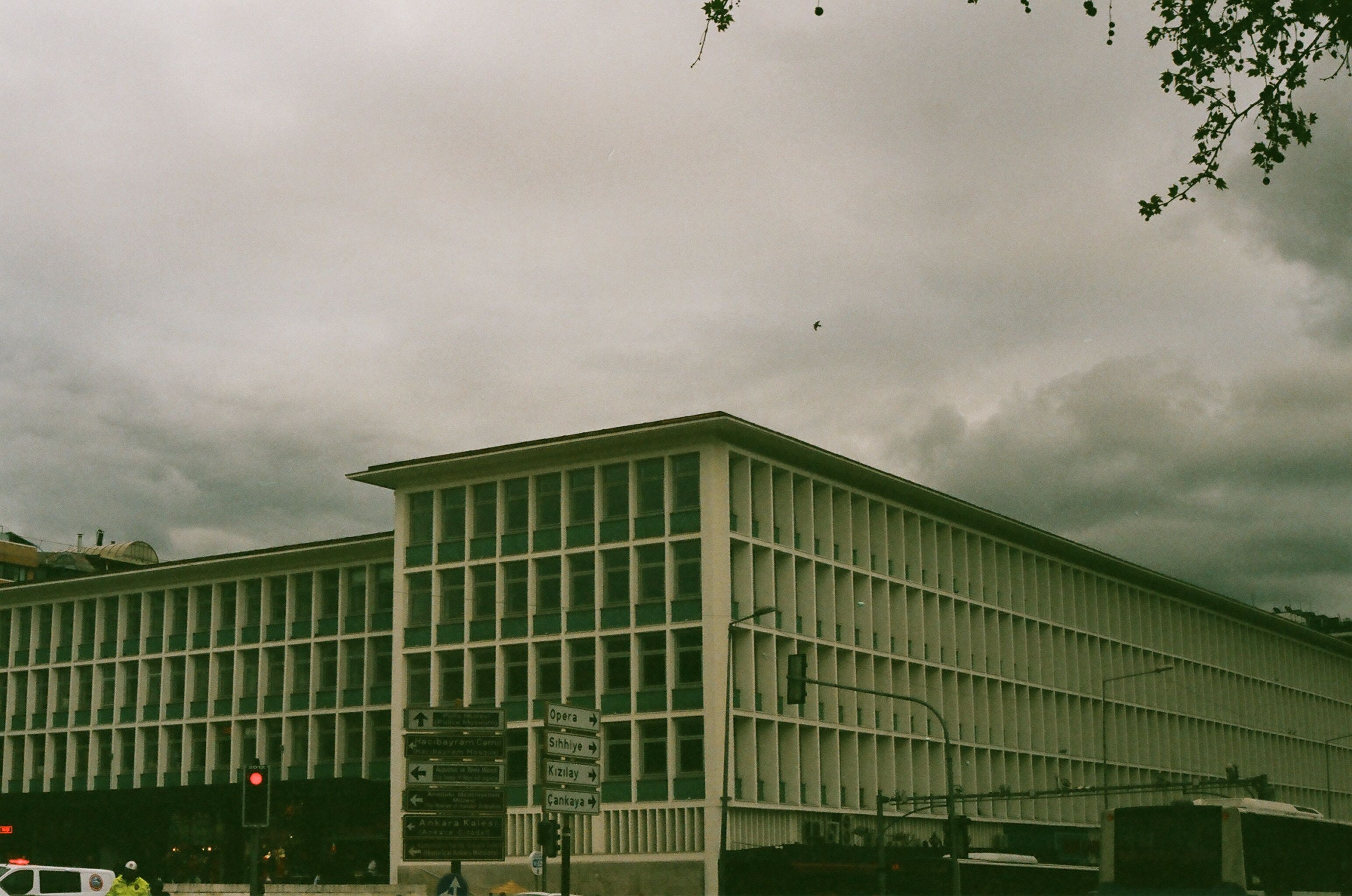 OPM taps new healthcare and insurance chief ahead of Open Season — Photo by harun - on Pexels