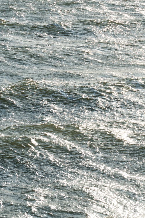 垂直ショット, 水, 波の無料の写真素材