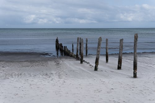 Wooden Posts Sticking from White Beach Sand