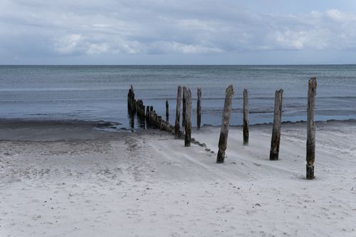 Free A tranquil beach with old wooden posts by the sea under a cloudy sky. Stock Photo