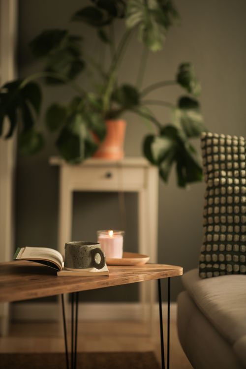 Free Inviting interior scene featuring a coffee table with a mug, book, and candle beside a lush plant. Stock Photo