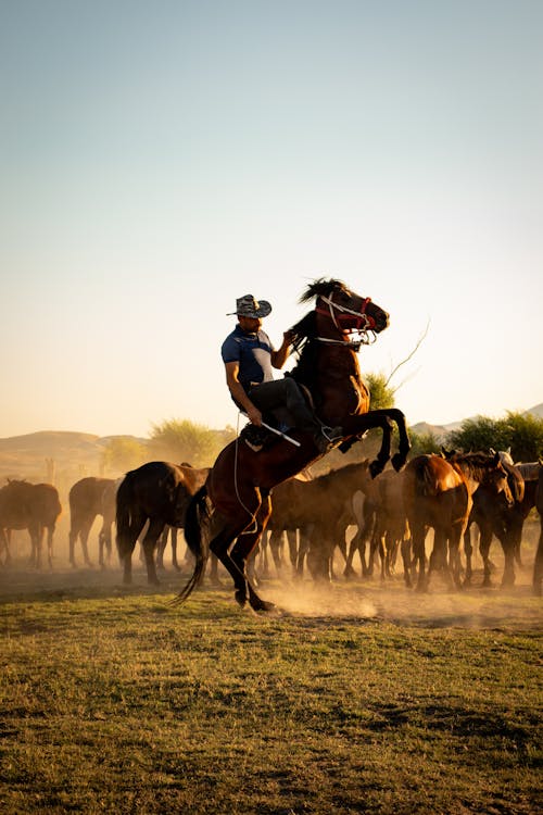 Cowboy on a Prancing Horse