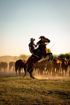 Western