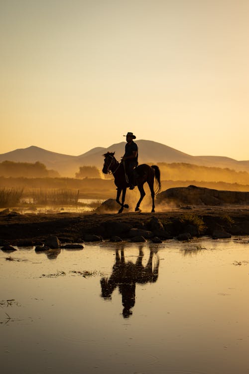 Silhouette of a Man Horseback Riding on a Field 