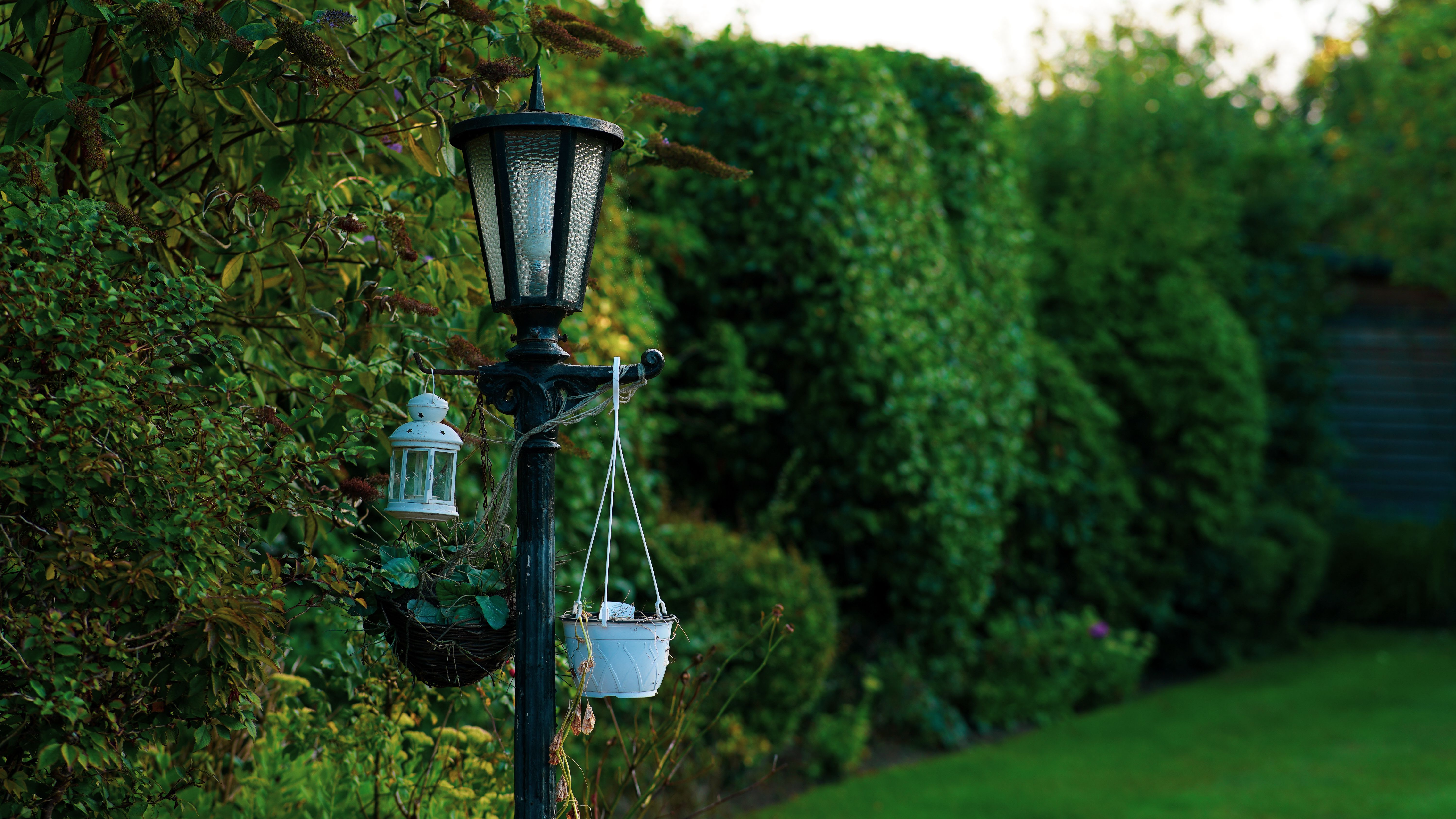 free photo of black urban lantern in yard