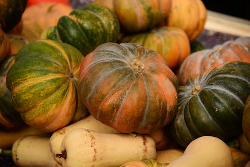 Mound of Various Kinds of Pumpkins