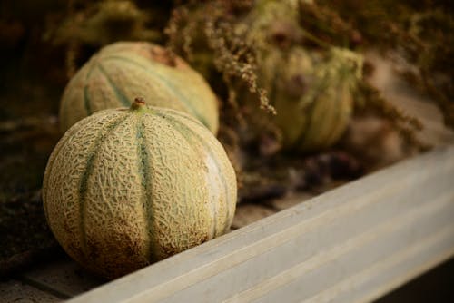 Close-up of Melons 