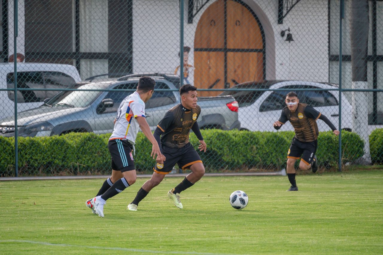 action packed scene of players competing in a football match on a sunn