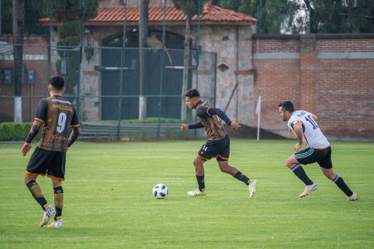 Dynamic action shot of soccer players competing on a grassy field in Texcoco, México.