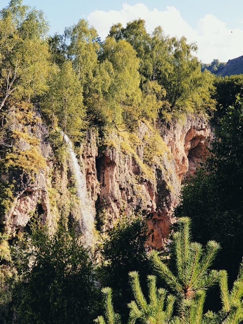 View of a Cliff and Trees in Mountains 