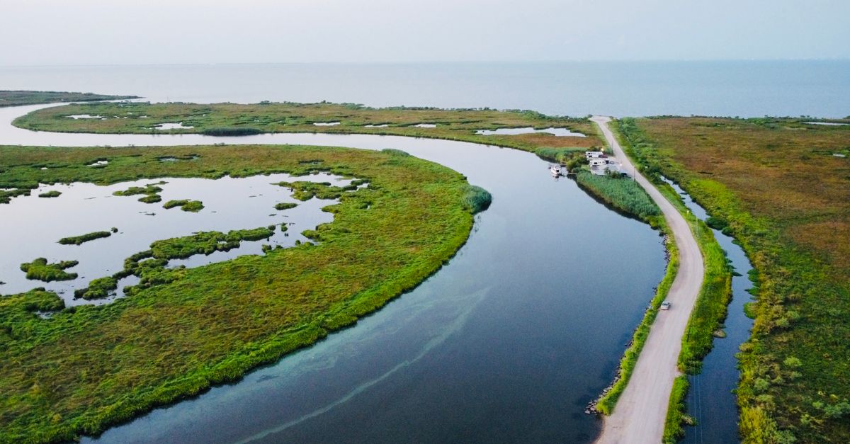 Scenic aerial shot of Lacombe wetlands, river, and road at sunrise. Explore wildlife habitat in Louisiana.