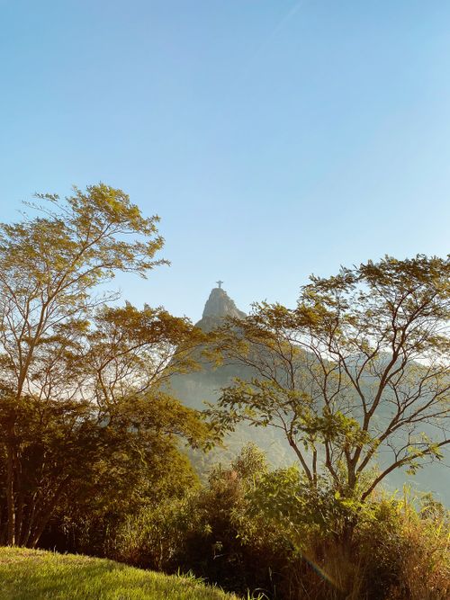 Free View of Christ the Redeemer amidst Rio's vibrant greenery, a classic landmark in Brazil. Stock Photo