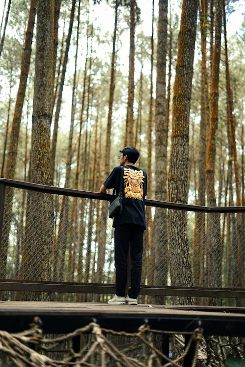 Man Stands on Boardwalk and Look at Forest