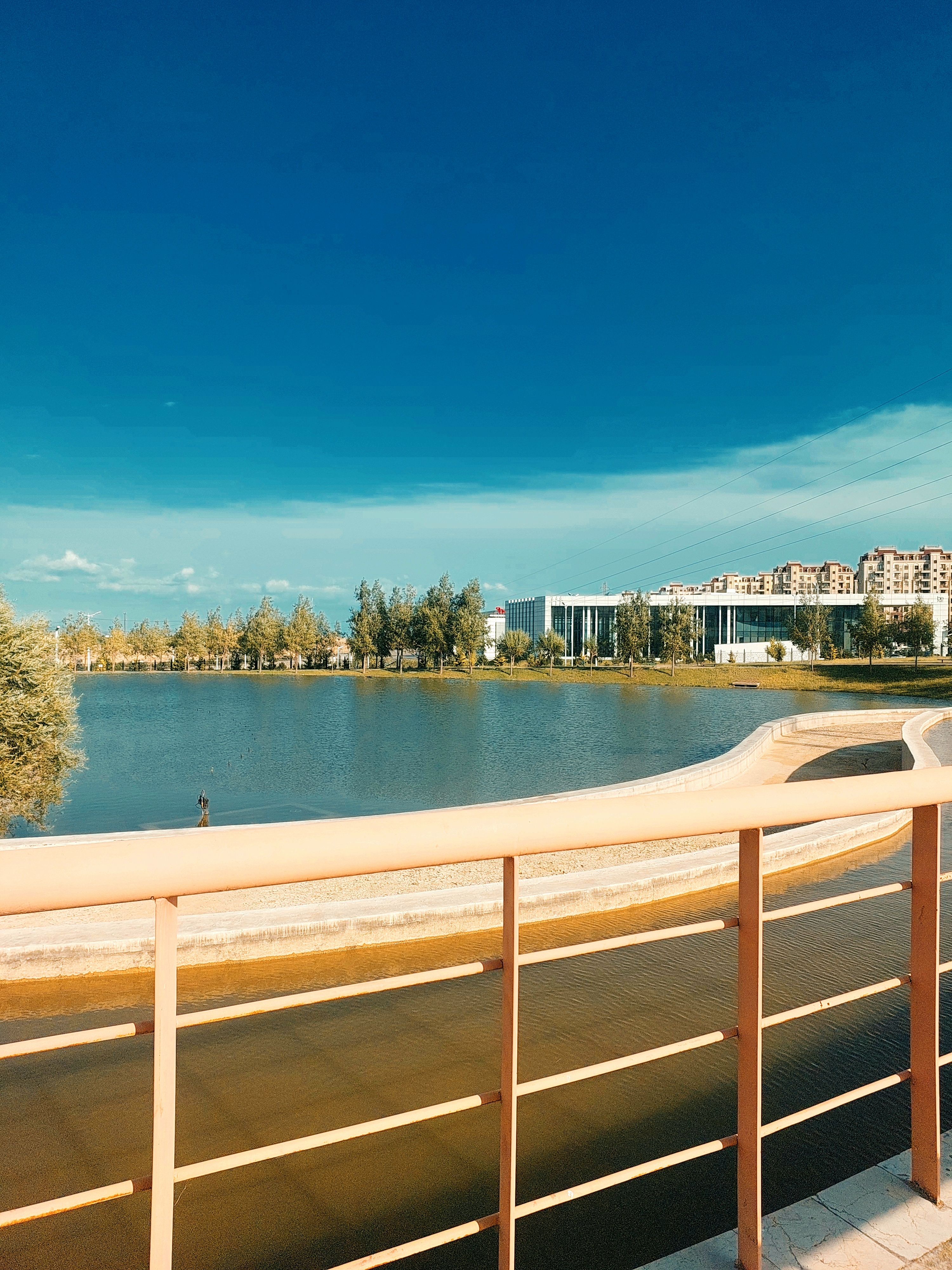 Lake in City · Free Stock Photo