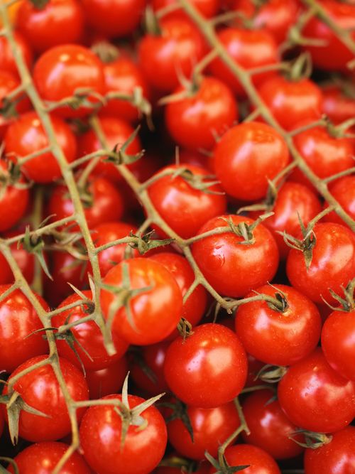 Free A close-up view of bunches of fresh, ripe cherry tomatoes on vines, showcasing their vibrant red color. Stock Photo