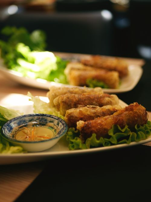 Free Deliciously crispy Vietnamese spring rolls served with a flavorful dipping sauce, beautifully plated. Stock Photo