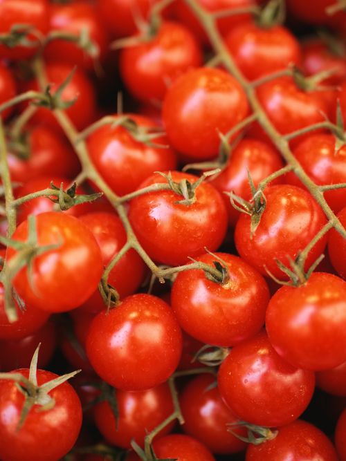 Free Close-up of vibrant red cherry tomatoes on the vine, ideal for healthy eating visuals. Stock Photo
