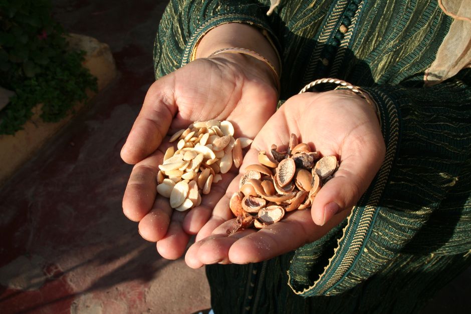 Bottles of pure argan oil displayed at a cooperative in Morocco.
