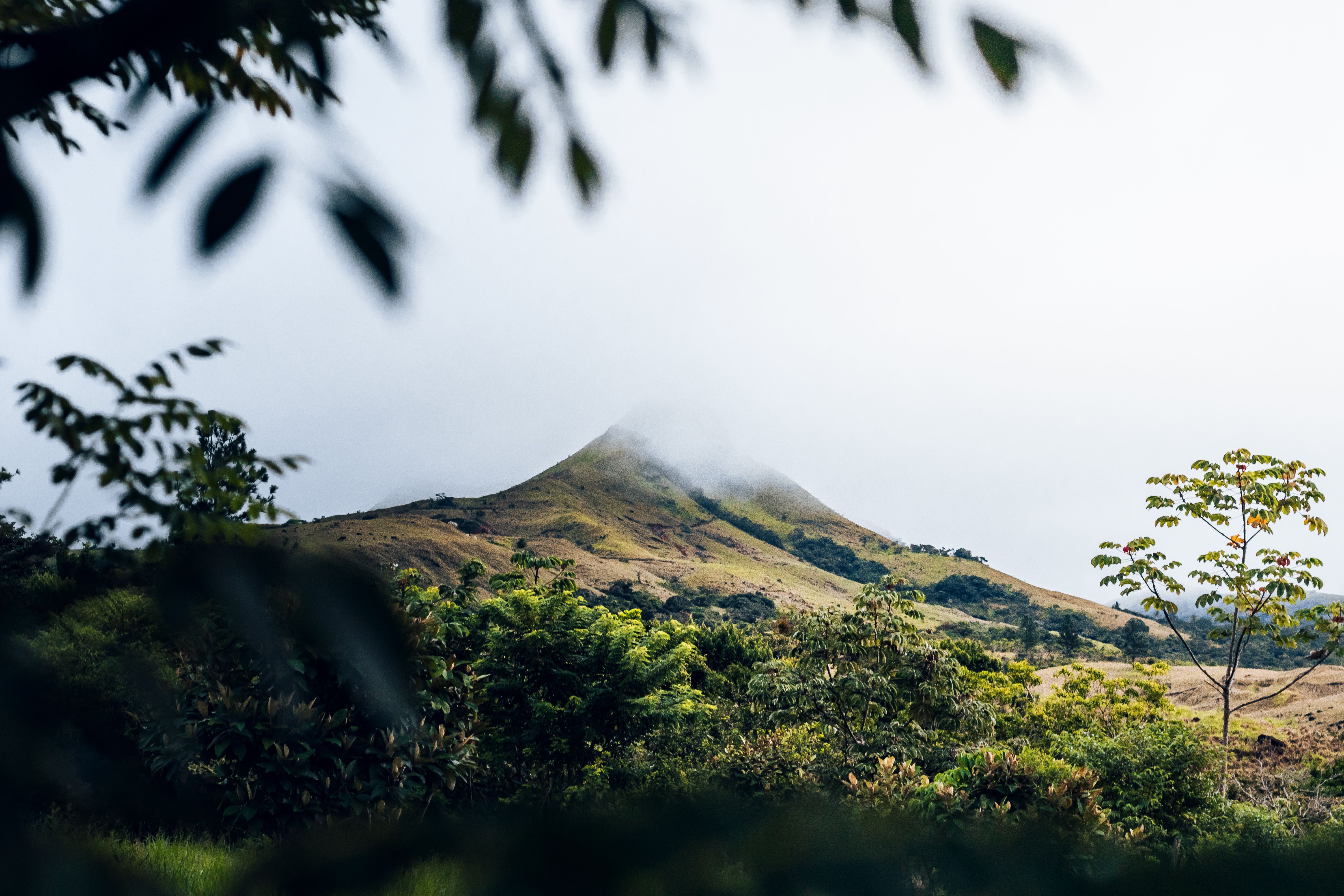 8 Day Mother of Pearl Reiki and Yoga Retreat in Nicaragua 3