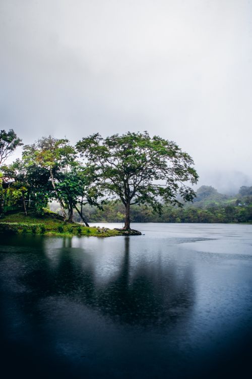 Free Serene view of a lake surrounded by lush trees and misty sky, reflecting tranquility. Stock Photo