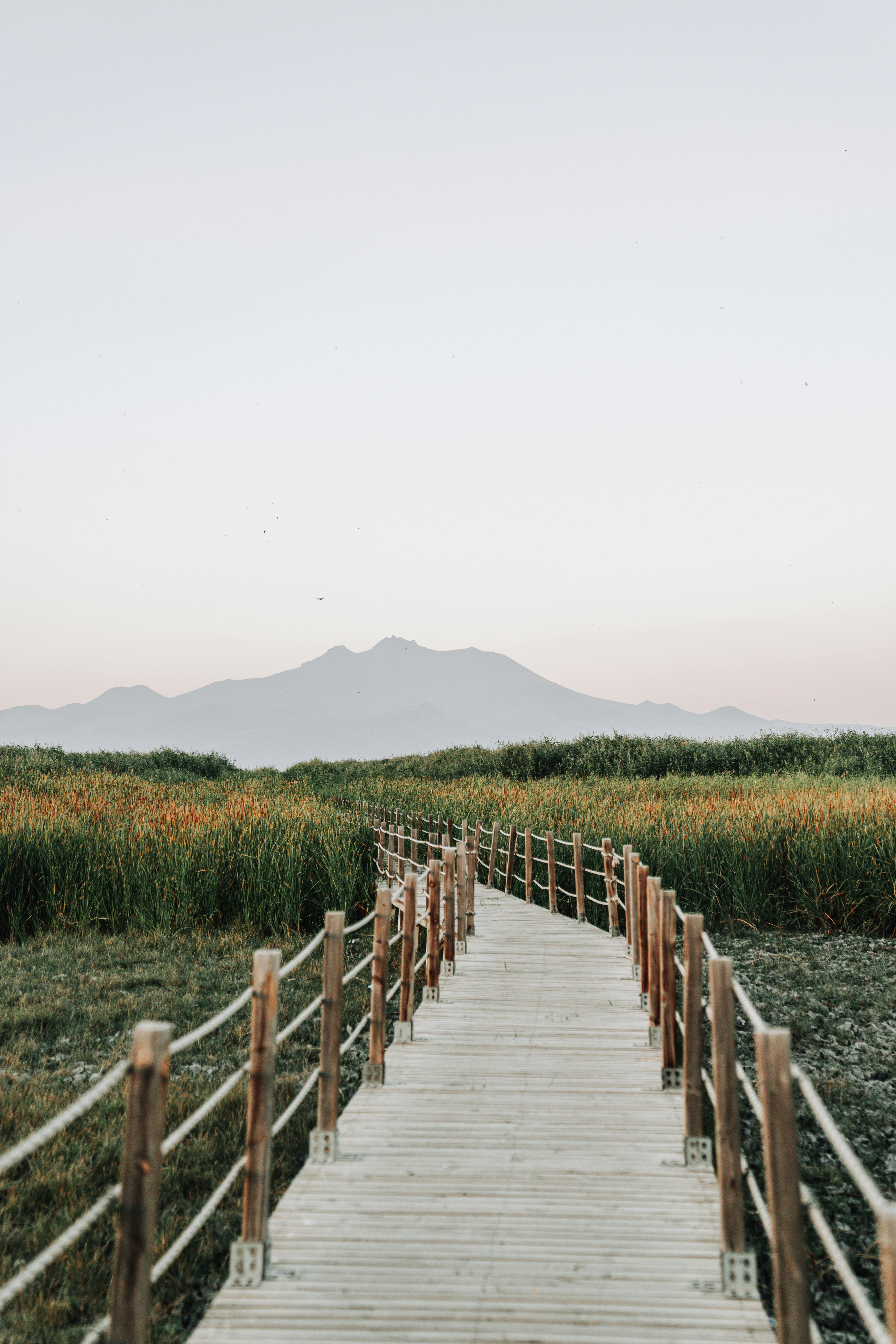Wooden boardwalk leading through marshland towards distant mountains under a clear sky.