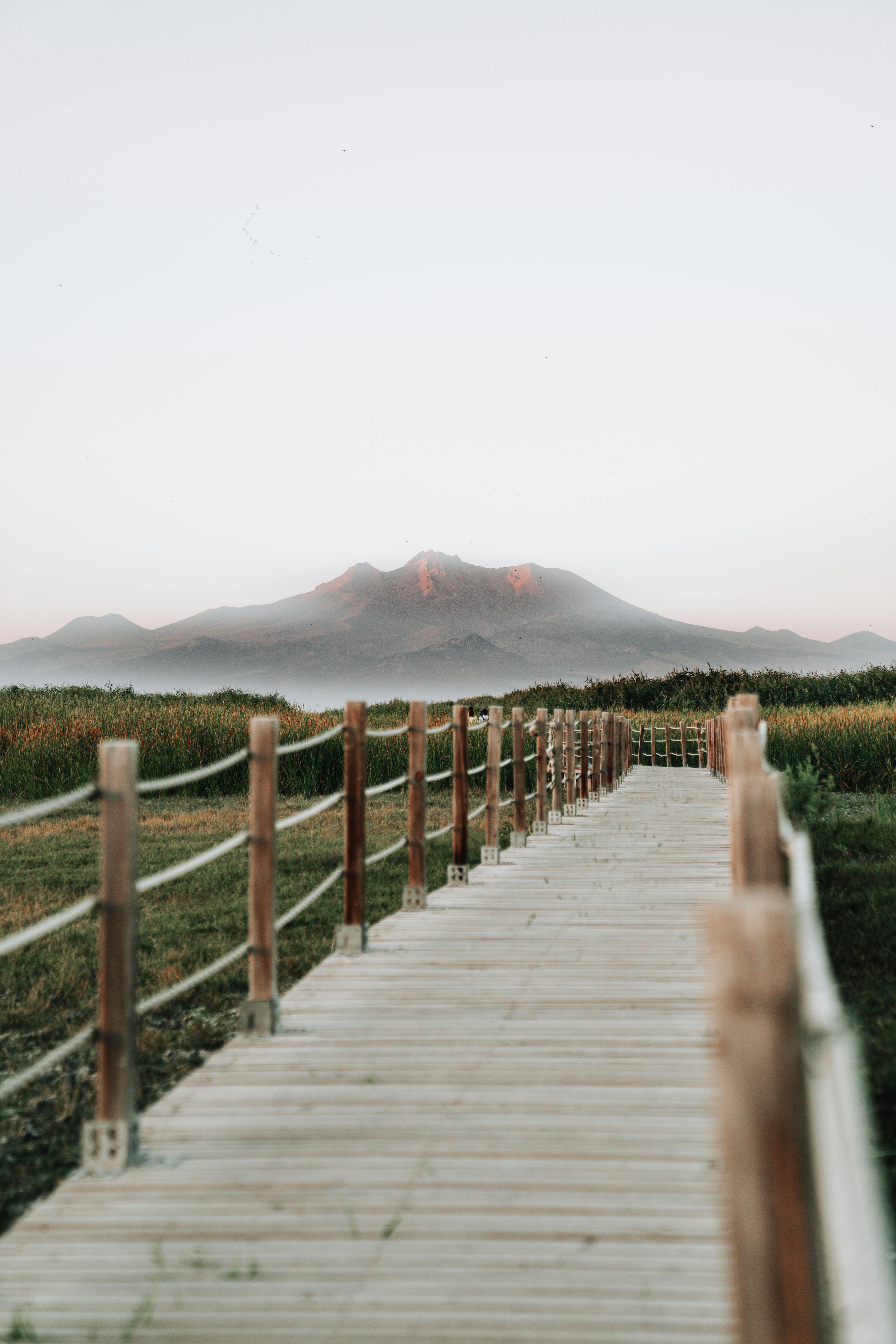 A serene view of a mountain seen from a wooden footpath surrounded by lush greenery.