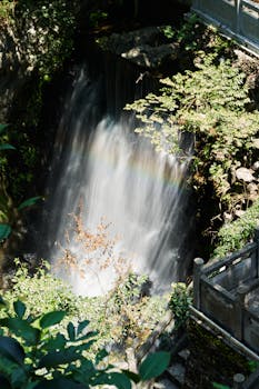 Image by dayong tien