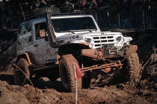 Foto profissional grátis de automóvel, aventura, caminhão